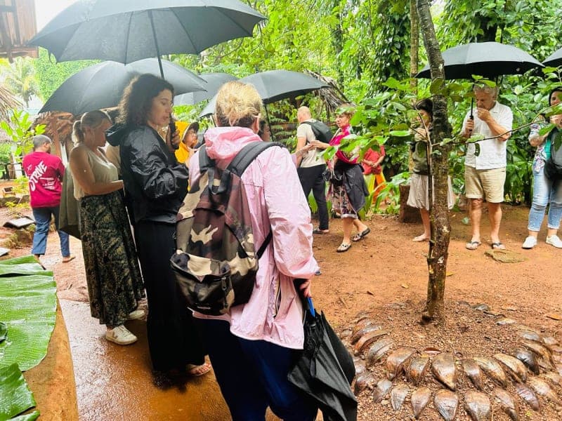 Botanical Plant Guiding