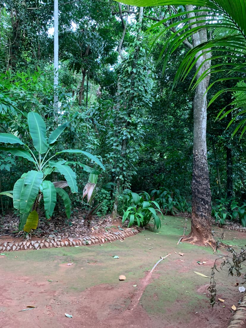 Spice Sanctuary Pathway