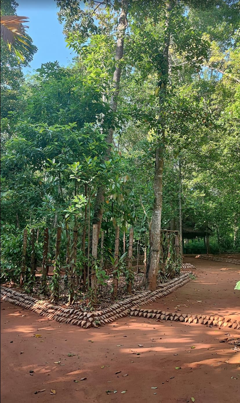 Sandalwood & Forest Flora